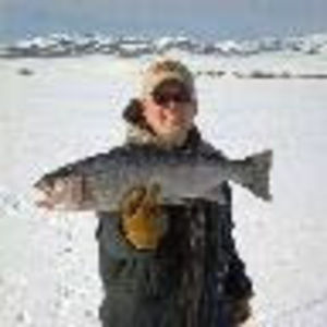 Meet your Posher, Sheldon